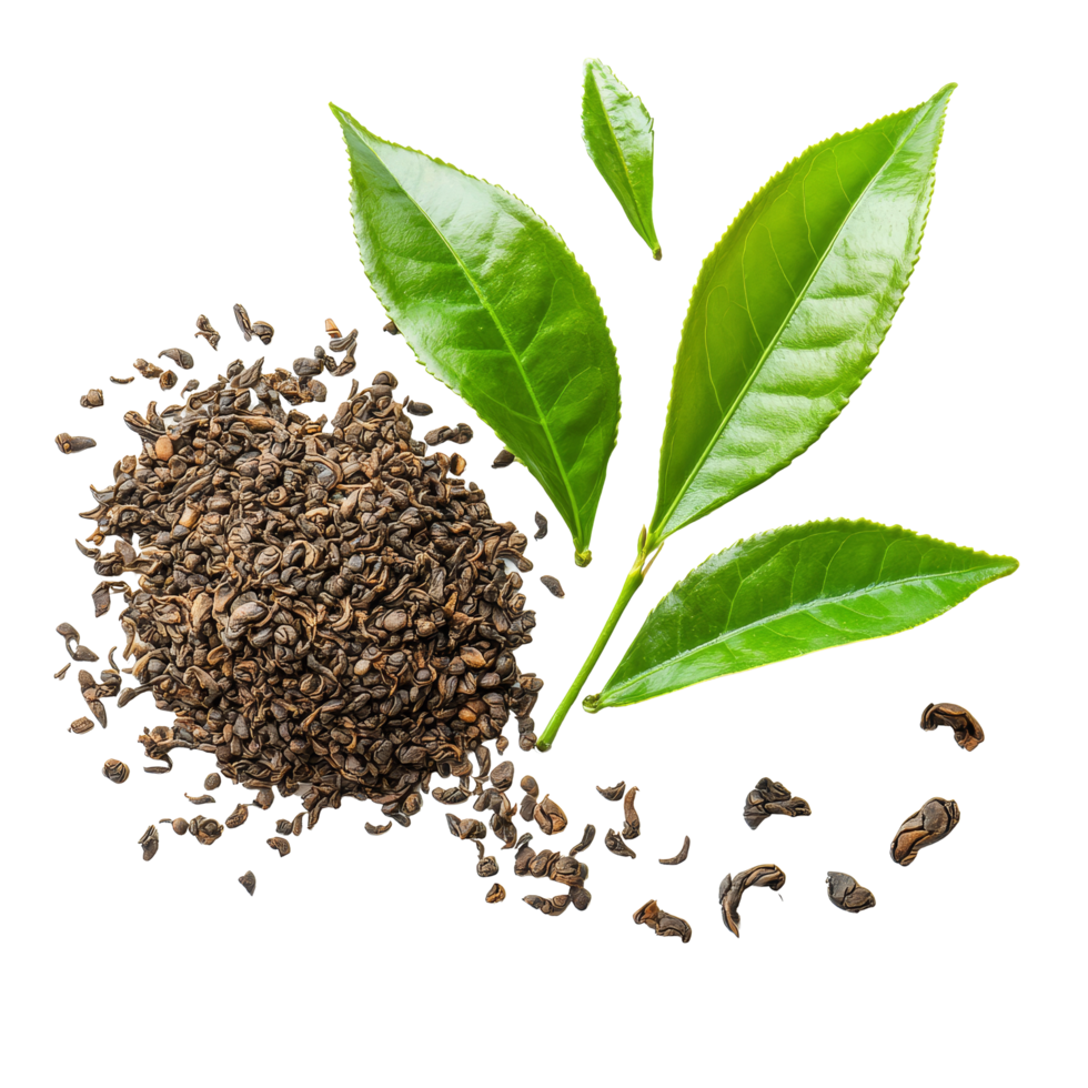 Fresh tea leaves and seeds on a transparent background showcasing their natural textures and colors, tea leaf and tea seed on transparent background png