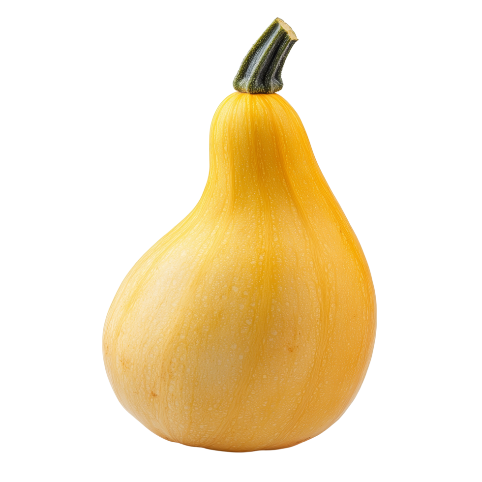 Fresh butternut squash isolated against a plain transparent background, showcasing its vibrant yellow color and shape, Fresh butternut isolated on transparent background png