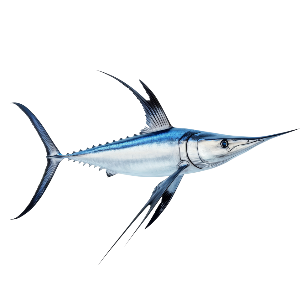Swordfish illustration on a transparent background showcasing its unique features and anatomy in detail, Swordfish Isolated on transparent background png