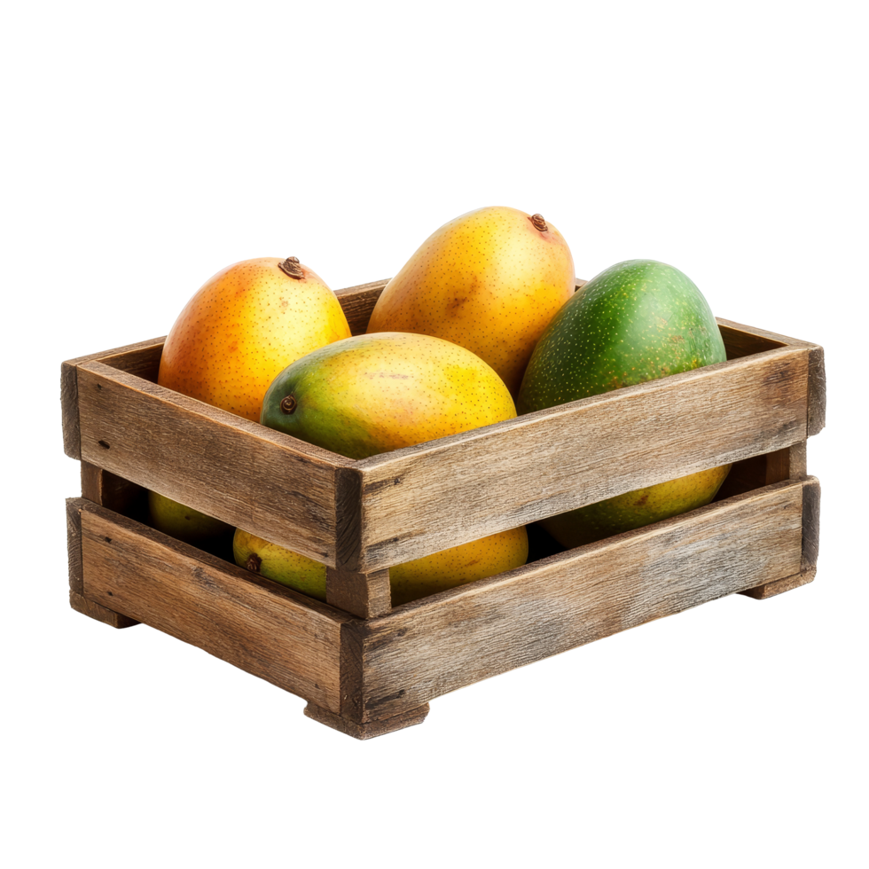 Fresh mangos in a wooden box isolated against a transparent background ready for commercial use or culinary presentation, wooden box of mangosisolated on transparent background png