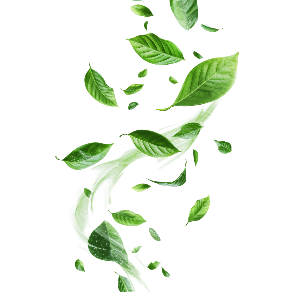 Dynamic swirling motion of green leaves isolated against a transparent transparent background, abstract green leaves swirling motion isolated transparent background png