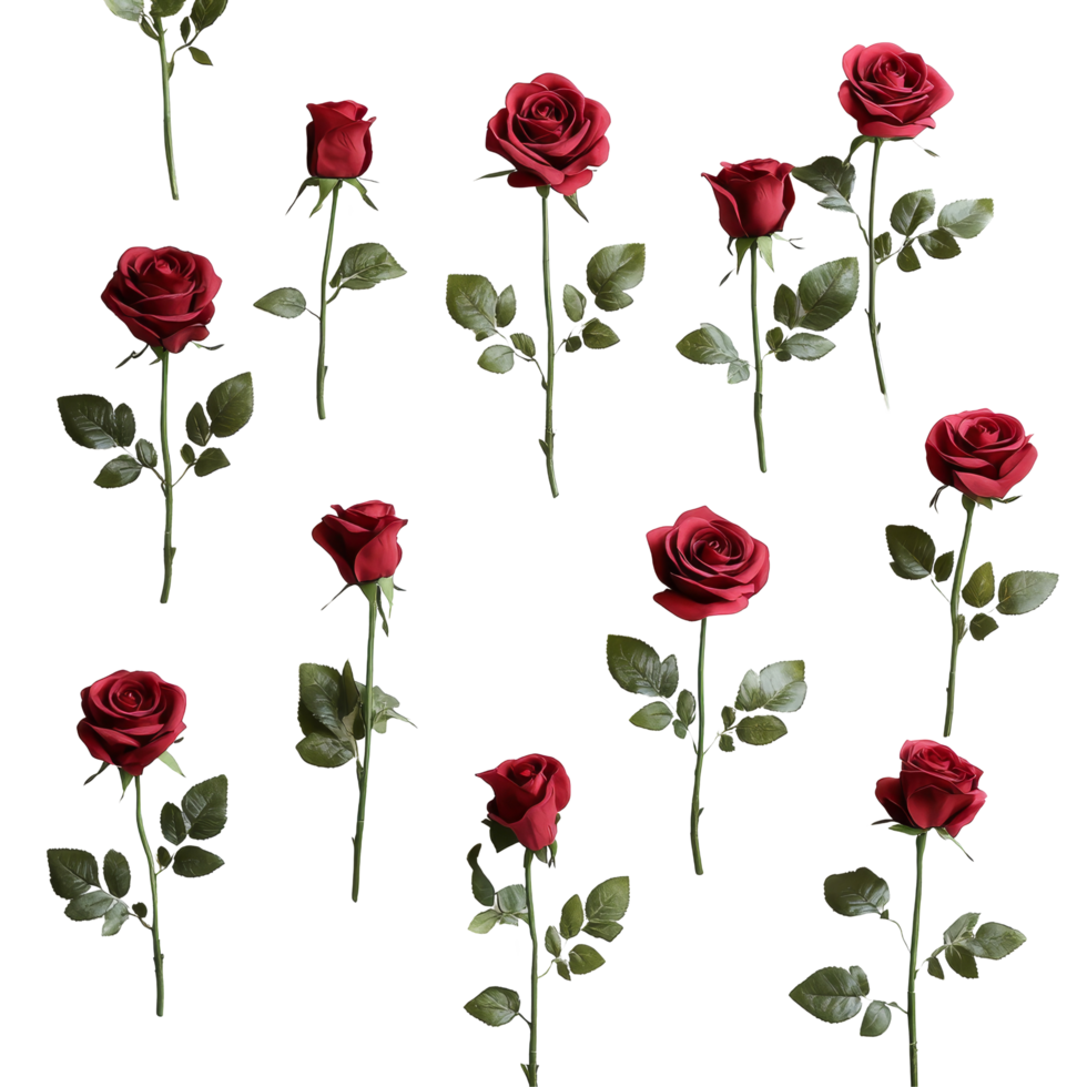 A beautiful arrangement of red roses elegantly scattered on a clean transparent background for floral inspiration, Multiple red roses on transparent background png