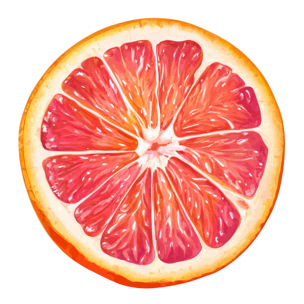 Fresh pink and orange grapefruit slice isolated on a transparent background showcasing vibrant colors and textures, pink orange grapefruit slice isolated on transparent background png