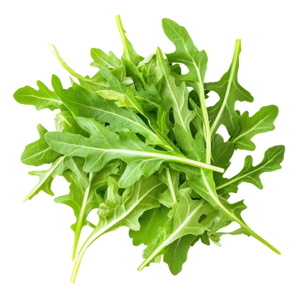 Fresh rucola salad leaves isolated against a clean transparent background for culinary inspiration, Sweet rucola salad or rocket lettuce leaves isolated on transparent background png