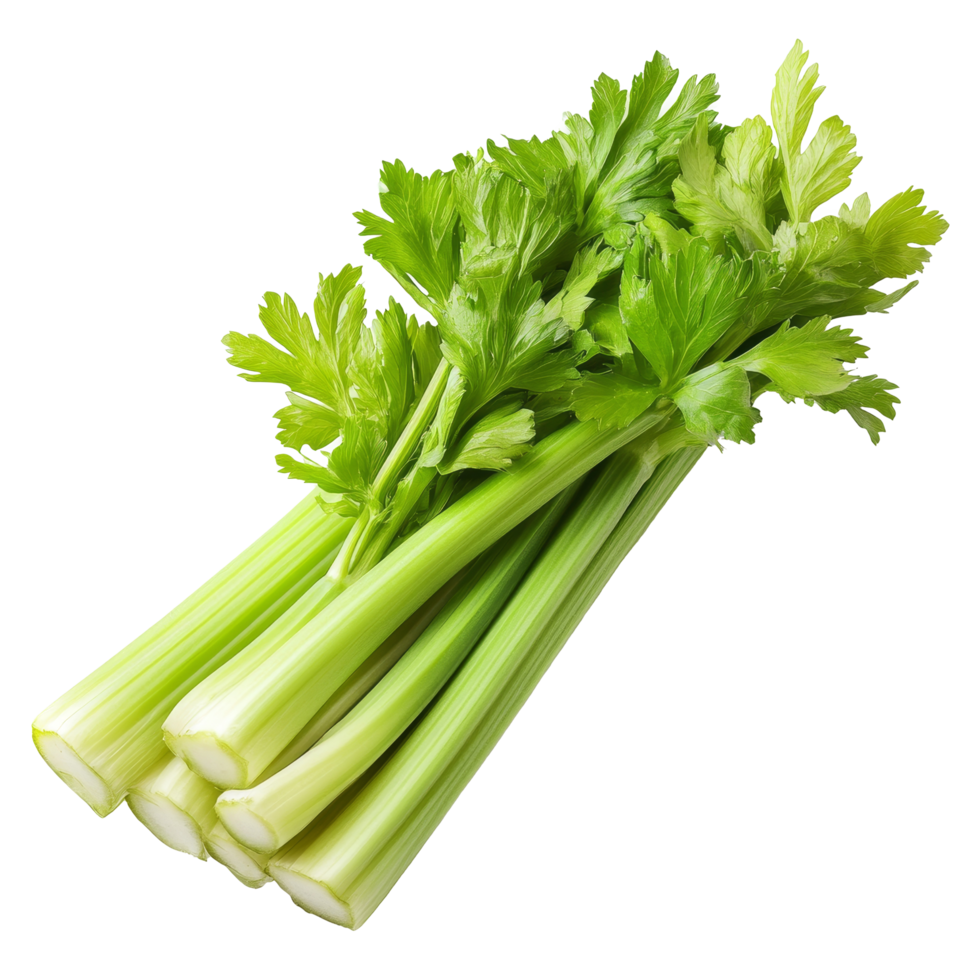 Fresh celery stalks with vibrant green leaves isolated on a clean transparent background, showcasing its natural freshness and crisp texture, Celery isolated on transparent background png