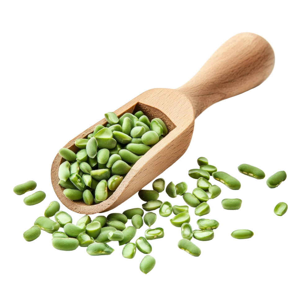Green bean seeds in a wooden scoop resting on a transparent background for gardening enthusiasts and plant lovers, Green beans seeds in wood scoop on transparent background png