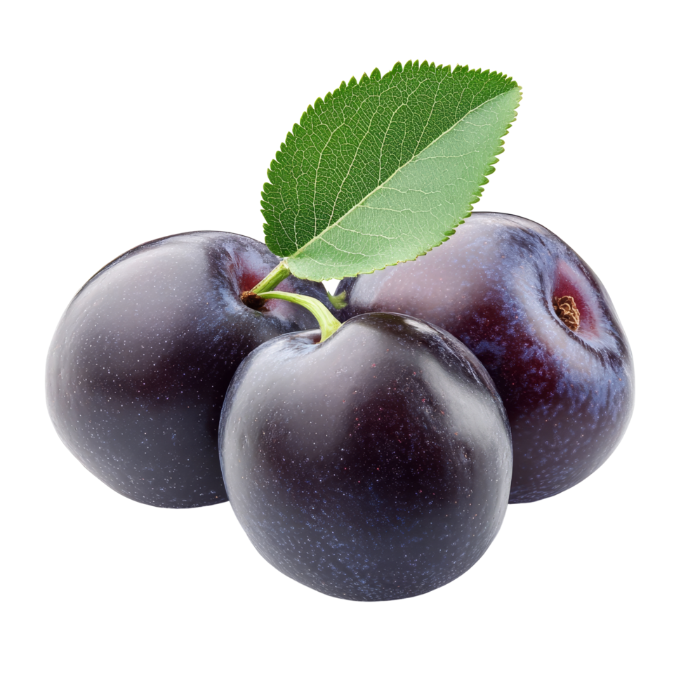 Fresh purple prunes with green leaf isolated on a transparent background showcasing their natural beauty and appeal, Fresh Prune isolated on transparent background png