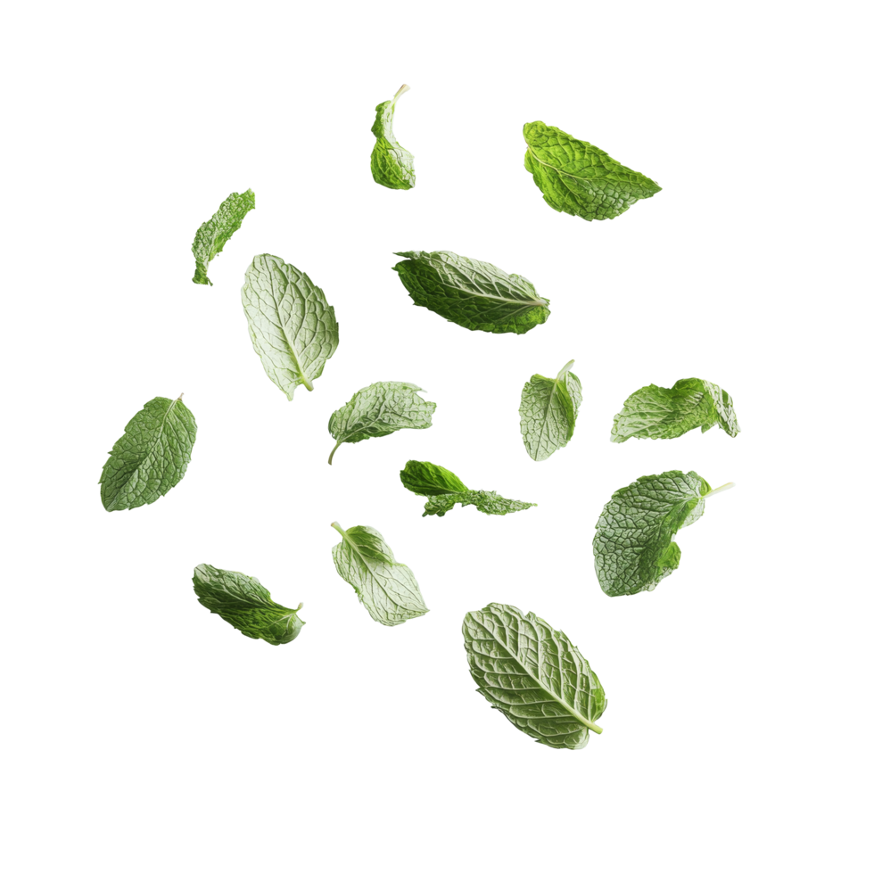 Fresh mint leaves gracefully flying against a soft green background in a whimsical display of natures beauty, flying fresh mint leaves isolated png