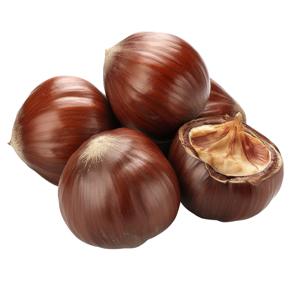 Fresh chestnuts on a clean transparent background, showcasing their shiny brown shells and creamy insides, Chestnuts on transparent background png