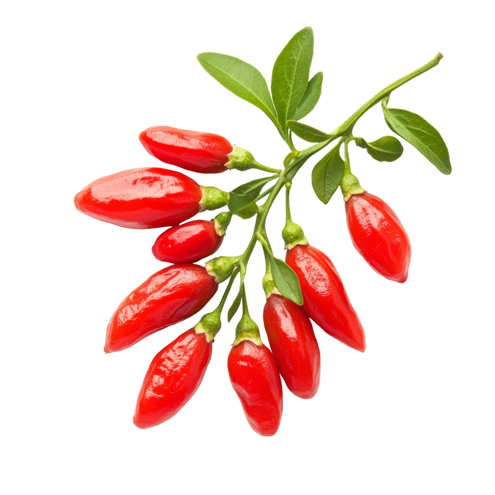 Goji berries arranged artistically on a bright transparent background for a fresh and vibrant presentation, Goji berries isolated on transparent background png