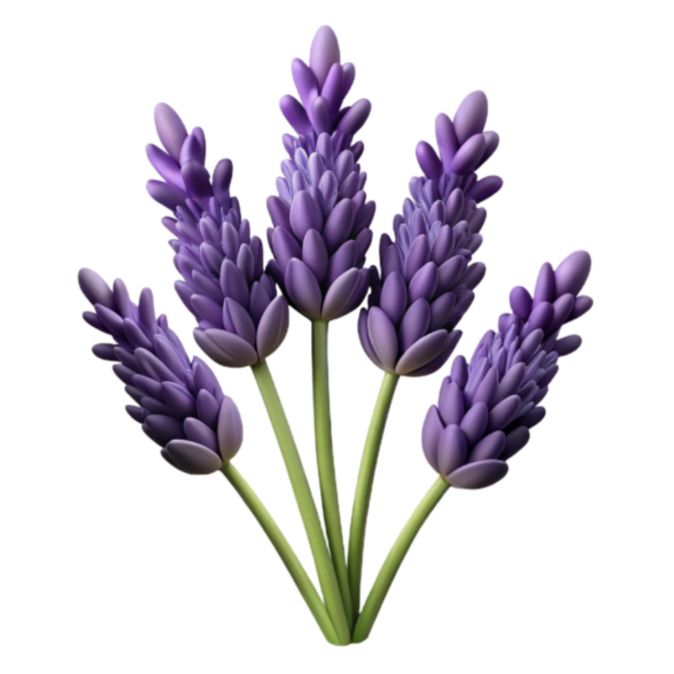 3D Render of Lavender Flowers Bouquet, Purple Floral Illustration png