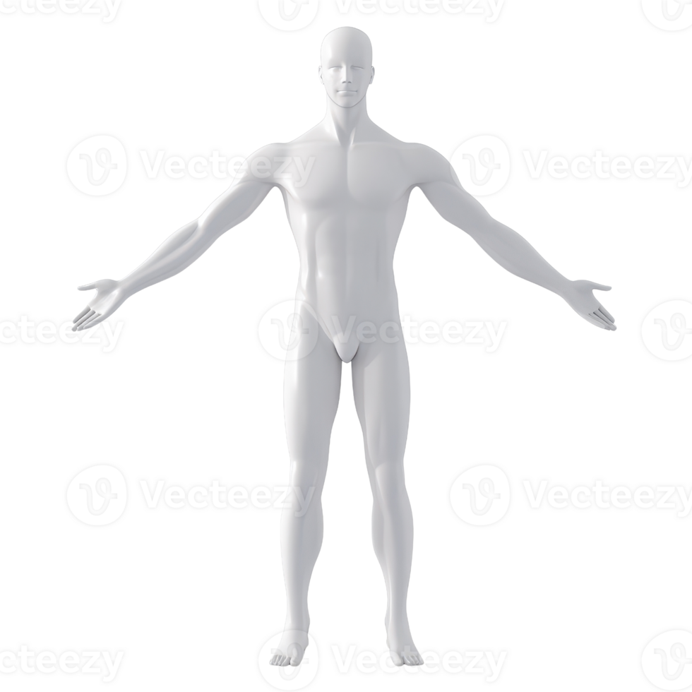 A blank human figure model showcasing an open posture for artistic reference. png