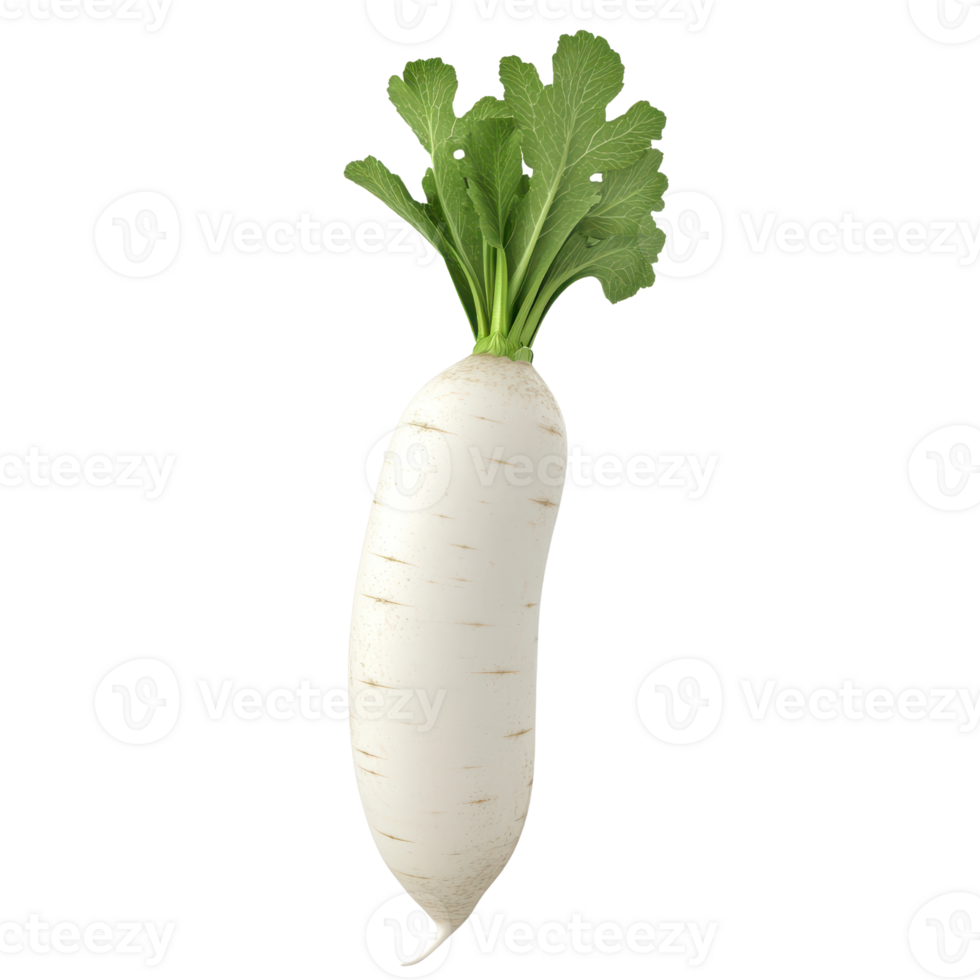 Fresh white radish with green leaves, perfect for salads and healthy dishes. png