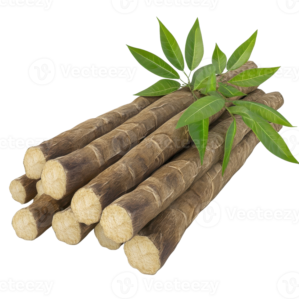 Fresh stalks with green leaves, showcasing natural beauty and organic textures. png