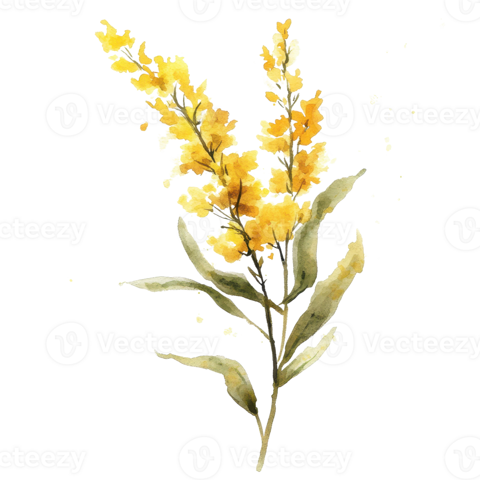 A beautiful yellow flower bouquet representing nature's vibrant colors. png