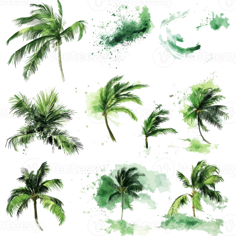 A collection of hand-painted green palm leaves on a transparent background. png