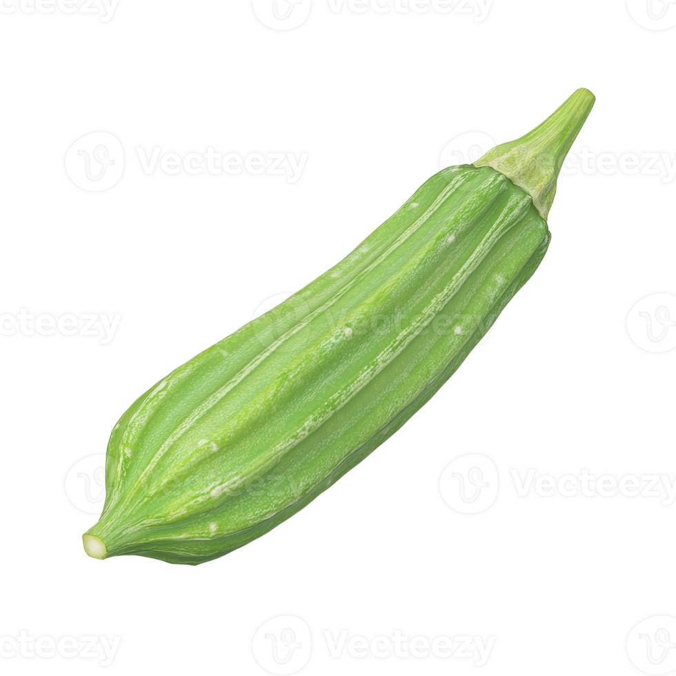 A fresh, vibrant green gourd perfect for healthy dishes and culinary creations. png