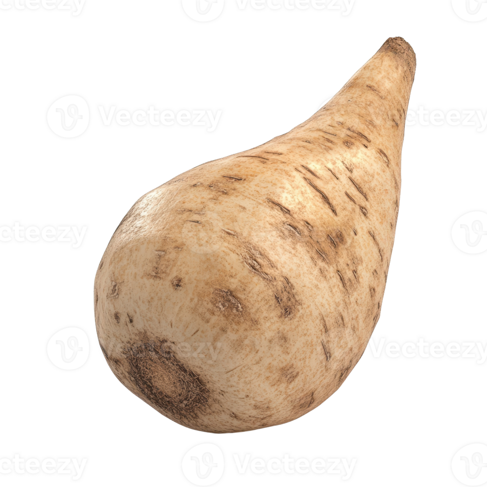 A fresh, organic parsnip with a unique shape and earthy texture for culinary uses. png