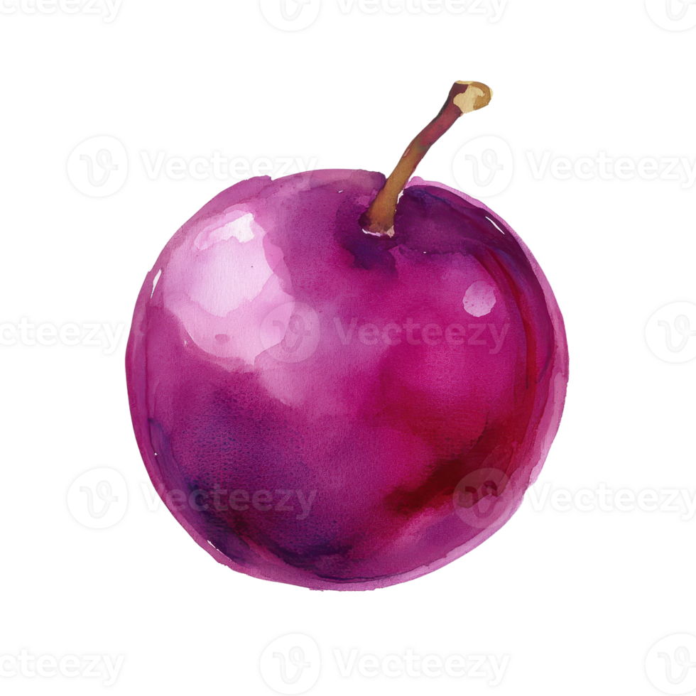 A vibrant, hand-painted watercolor illustration of a plum fruit. png