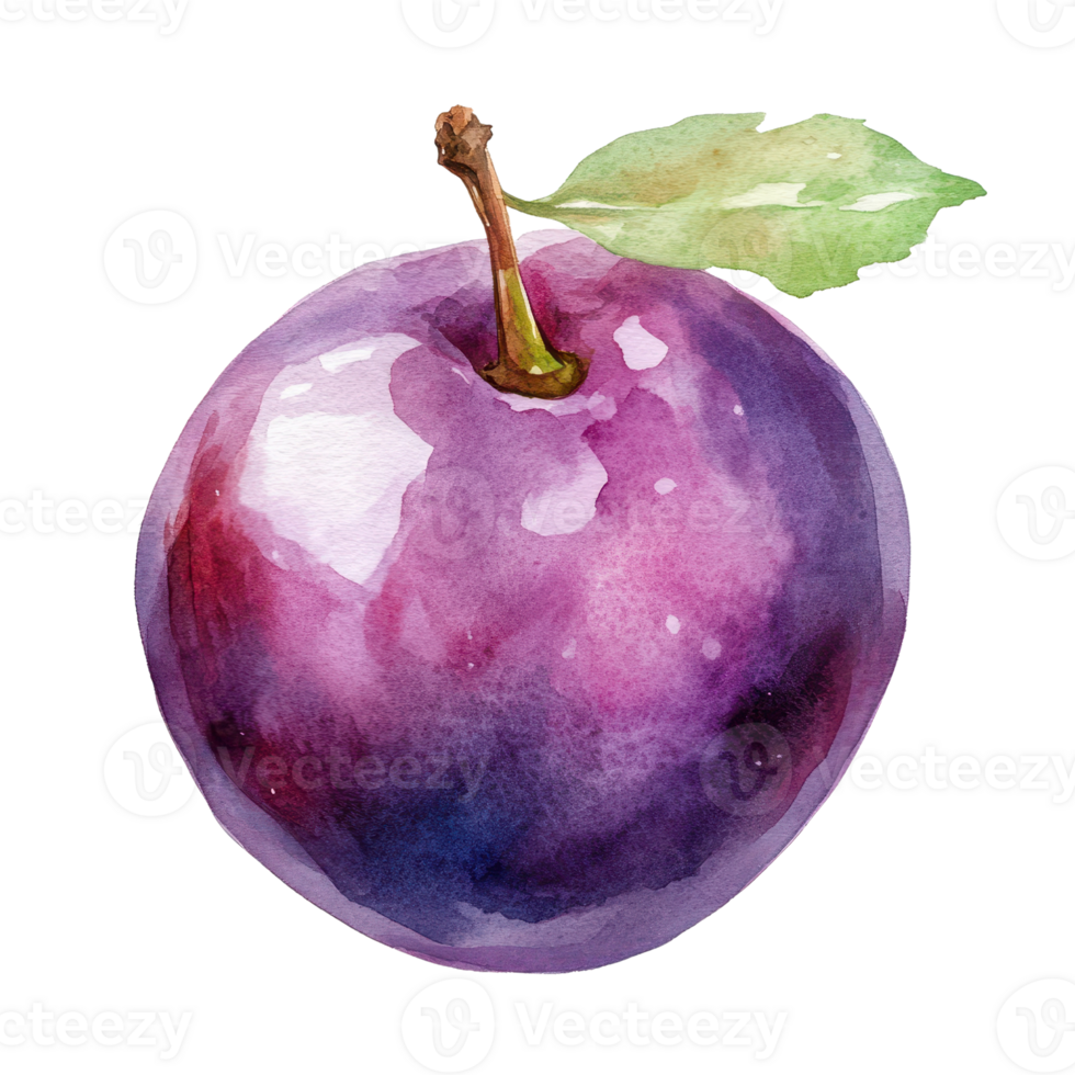 A vibrant watercolor illustration of a fresh, ripe plum with a green leaf. png