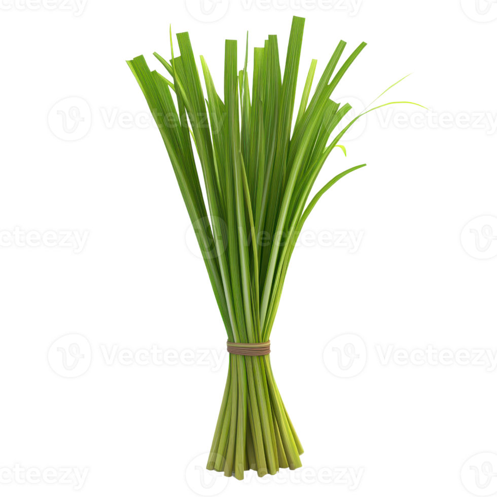 Fresh green herbs tied together, perfect for culinary or gardening themes. png