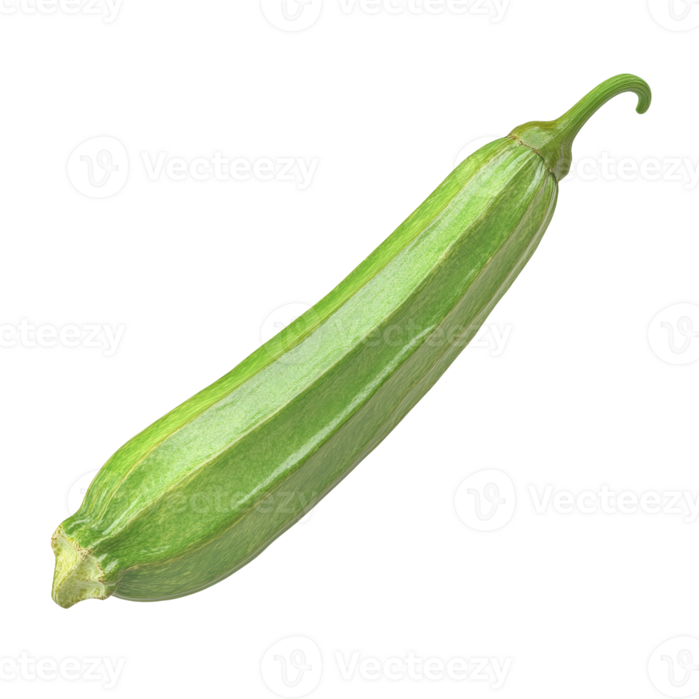 Fresh and vibrant zucchini isolated on a white background, perfect for healthy cooking. png