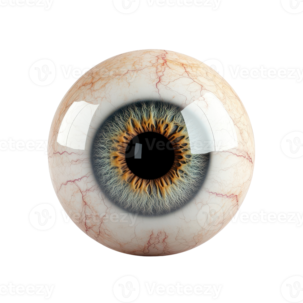 Detailed close-up of a human eye showcasing intricate patterns and colors. png
