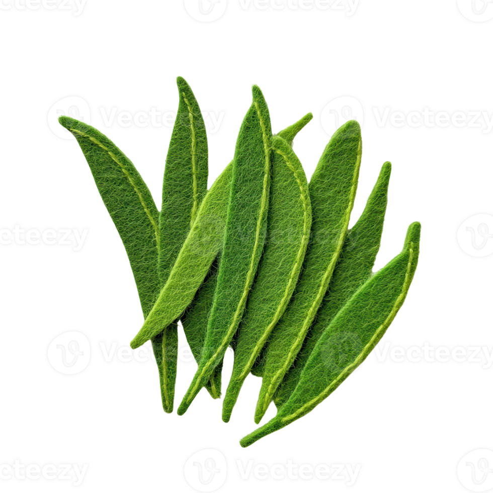 Fresh green leaves arranged beautifully on a white background. png