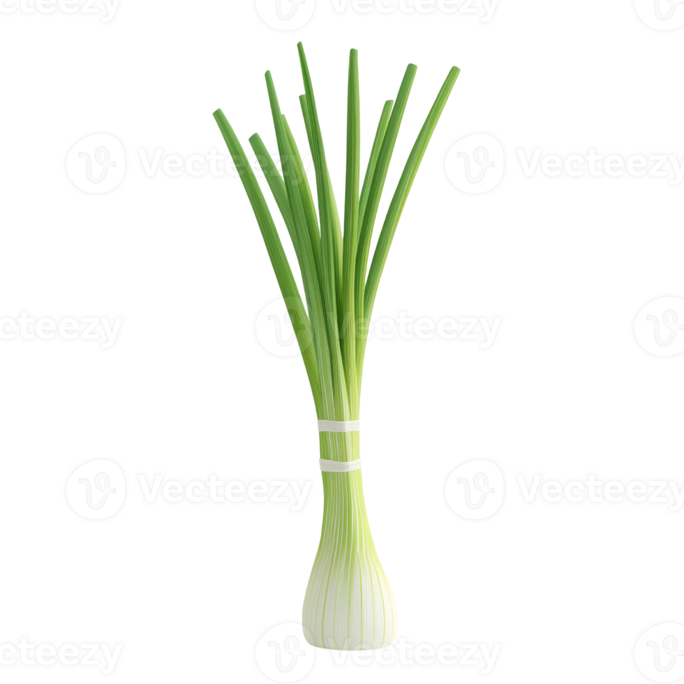 Fresh green onions in a vase, perfect for cooking and garnishing dishes. png