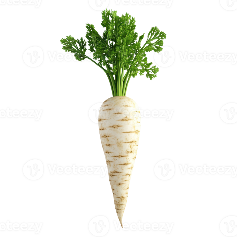 Fresh white root vegetable with green leafy tops, perfect for healthy dishes and salads. png