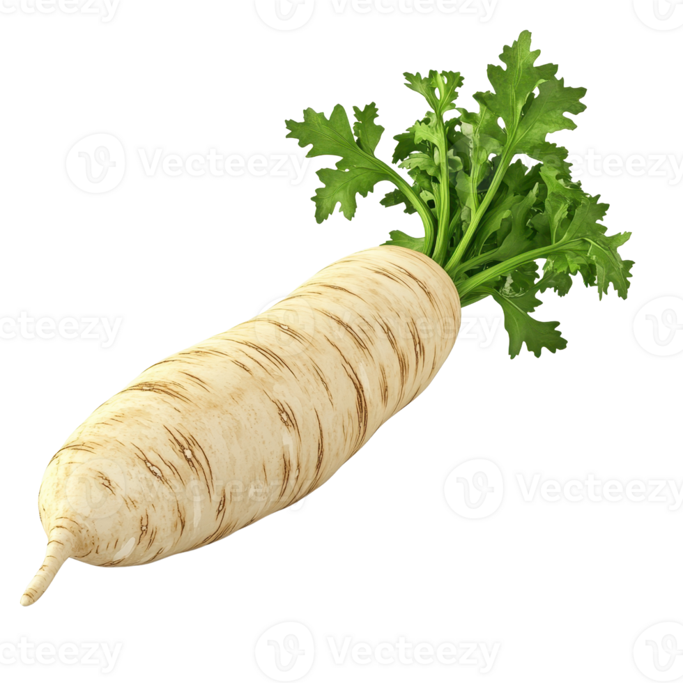 Fresh organic daikon radish with vibrant green leaves, perfect for healthy meals. png
