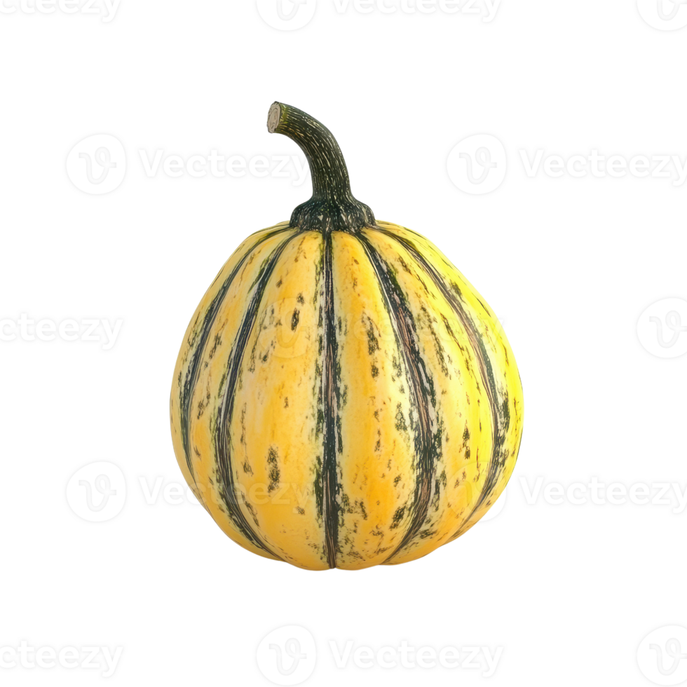 Vibrant yellow squash with green stripes, perfect for autumn dishes and decorations. png