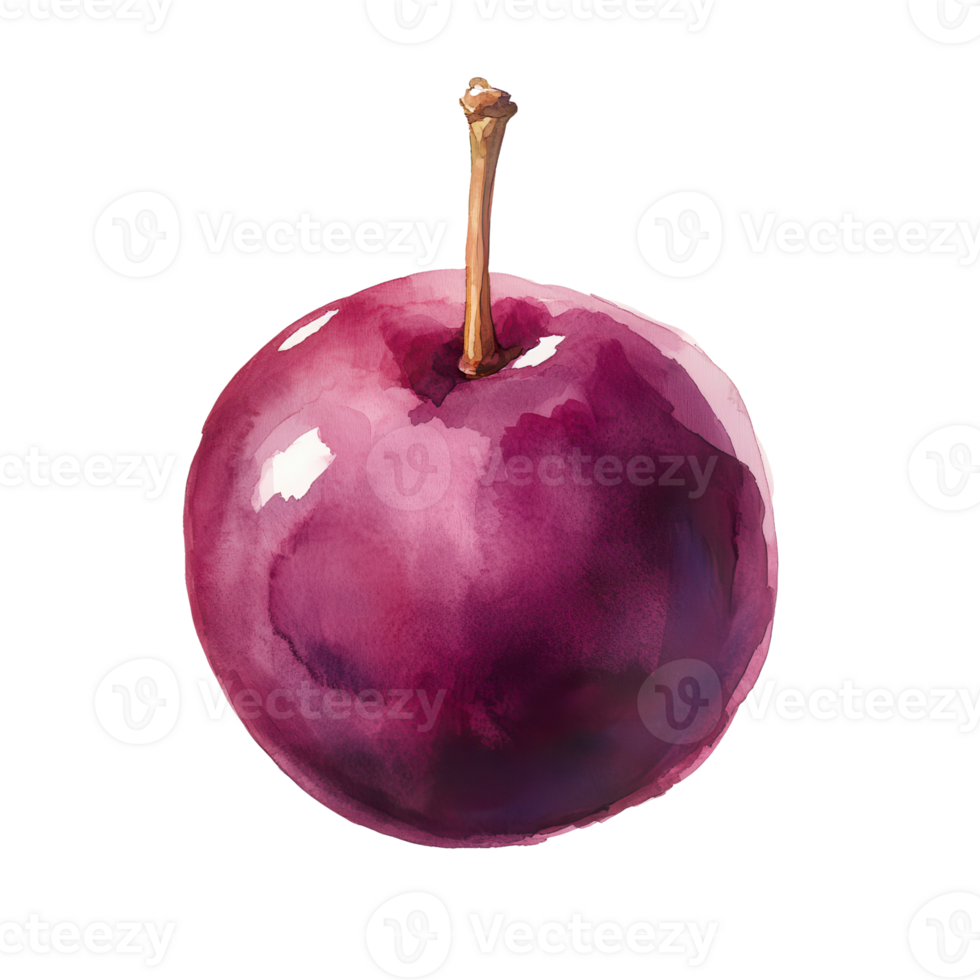 Vibrant purple plum with a glossy surface and a single stem showcasing freshness. png