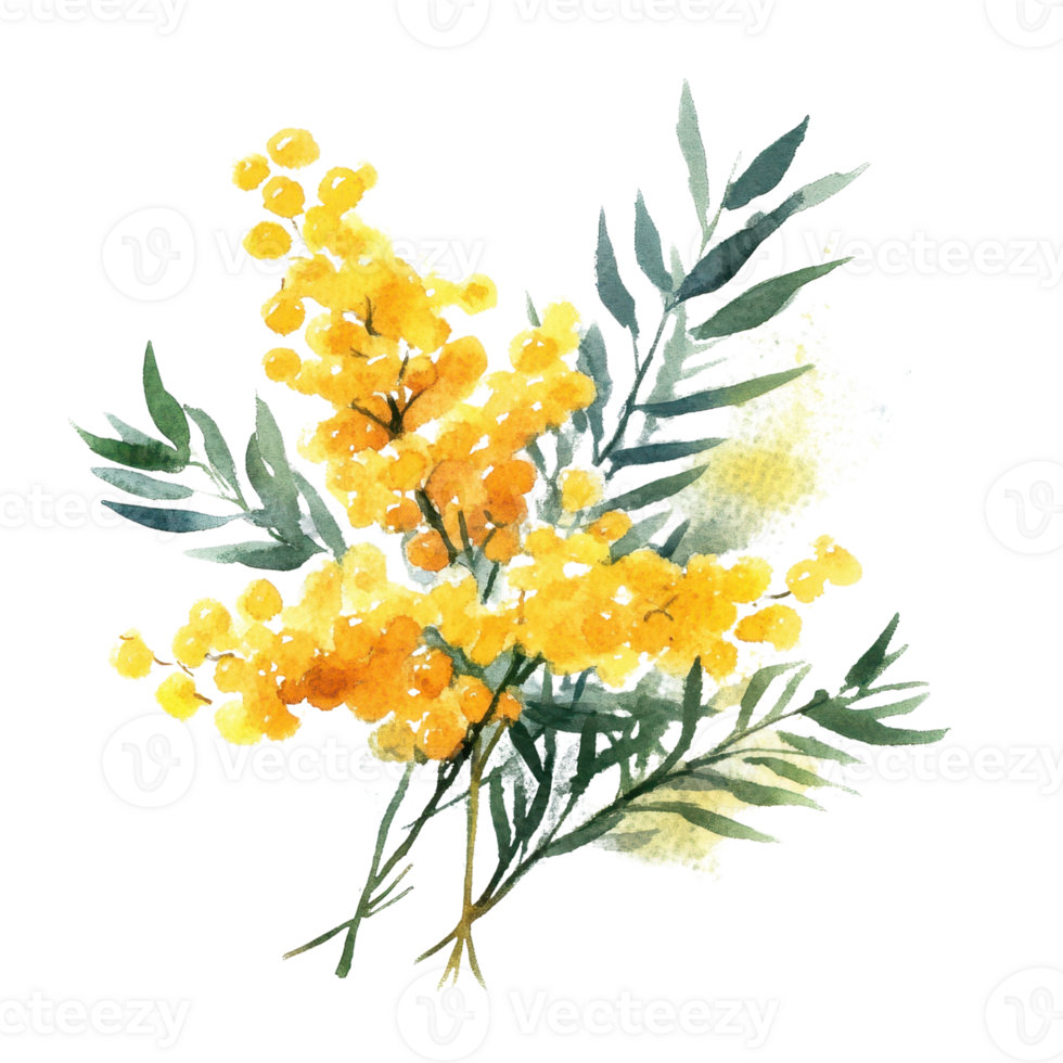Vibrant watercolor bouquet featuring bright yellow mimosa flowers with green leaves. png