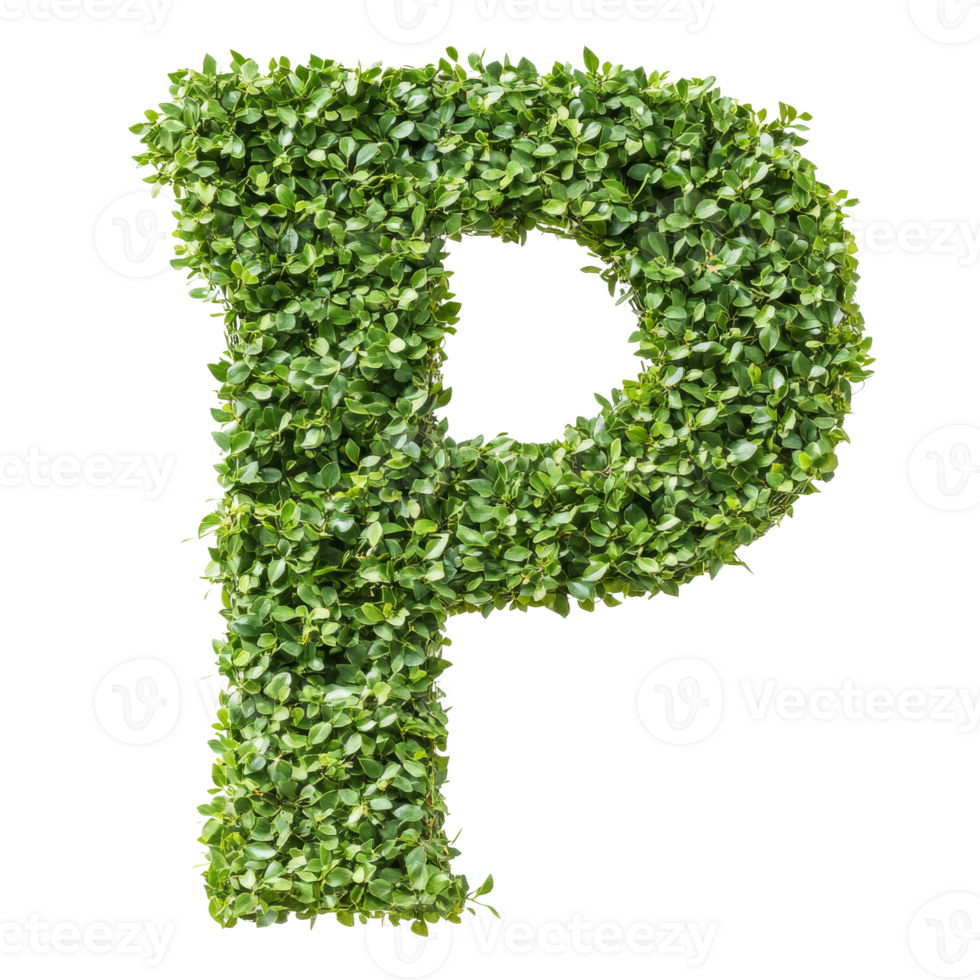 Green leaves form the letter P. isolated transparent background png
