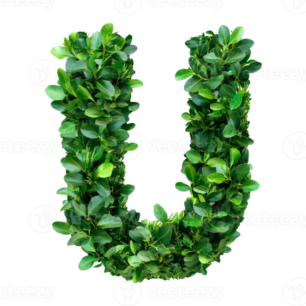 Green leaves form the letter U. isolated transparent background png
