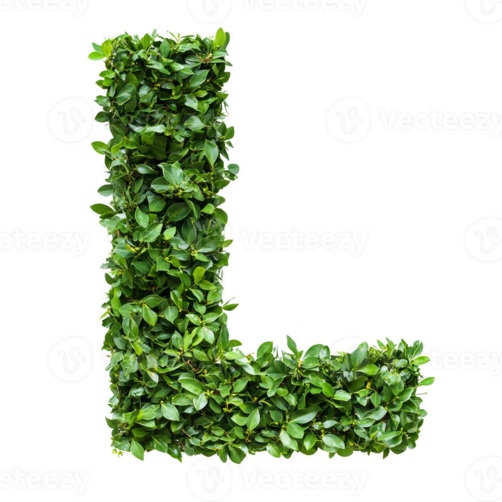 Green leaves form the letter L. isolated transparent background png