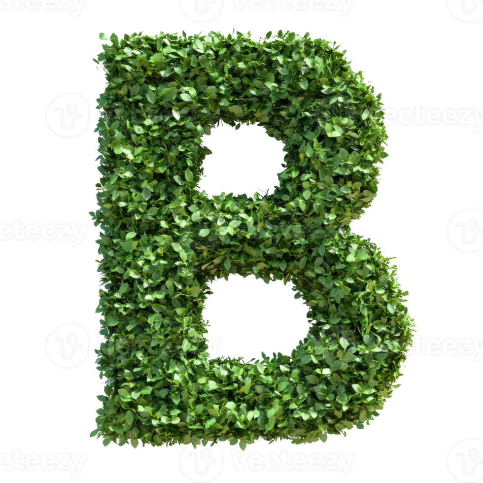 Green leaves form the letter B. isolated transparent background png