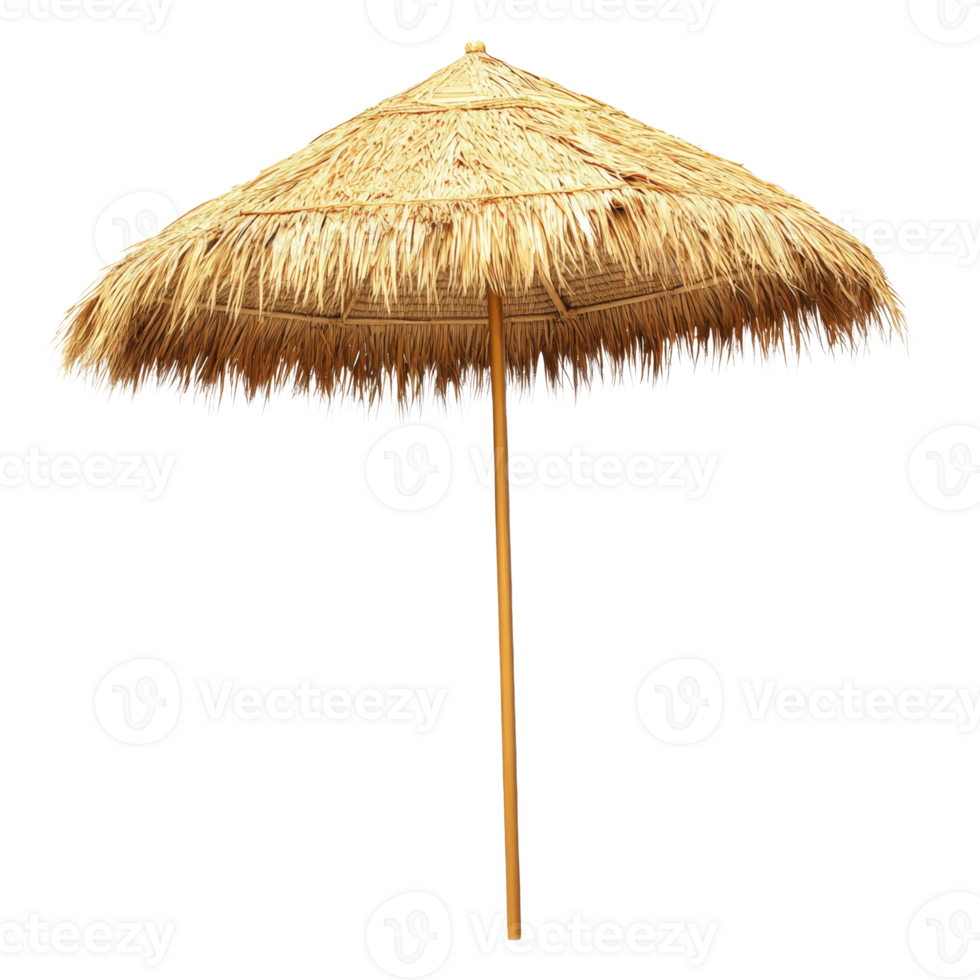Thatched Umbrella Beach Shade Summer Tropical Vacation png