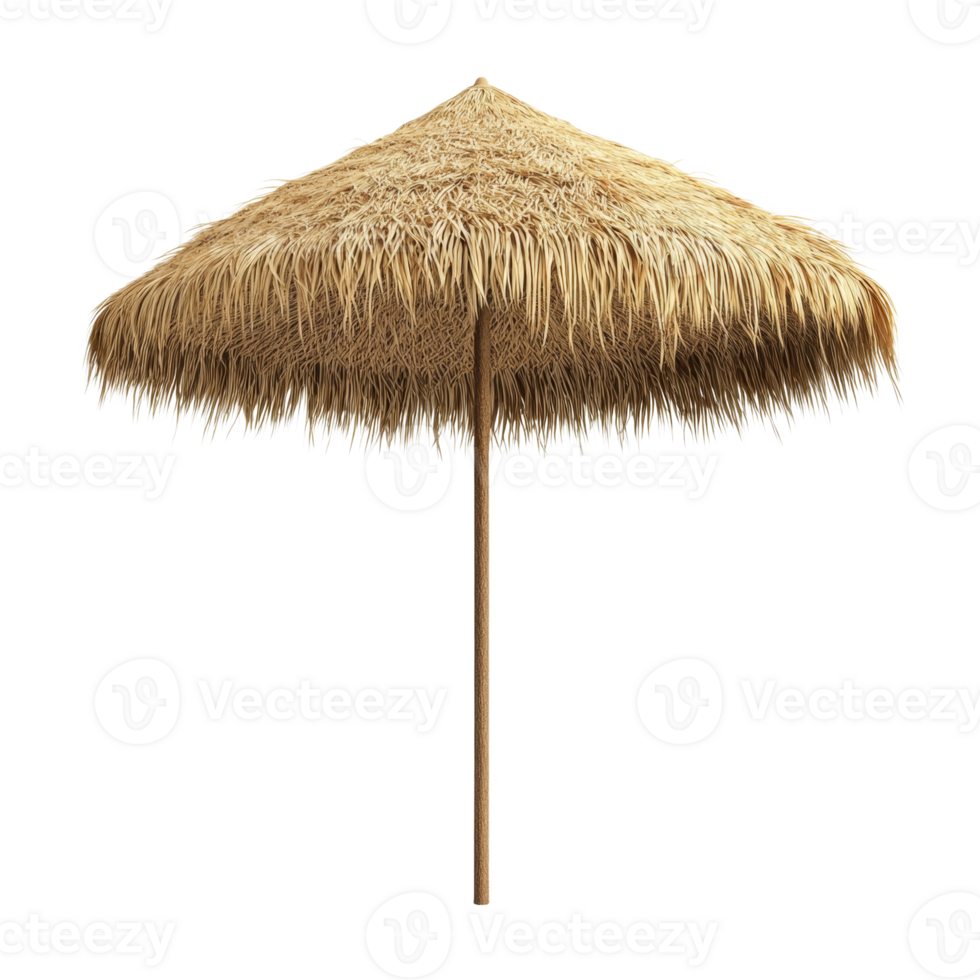 Thatched Parasol Beach Shade Tropical Island Summer png
