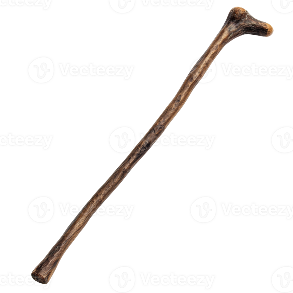 Wooden Bone Shaped Club Isolated On Black Background png
