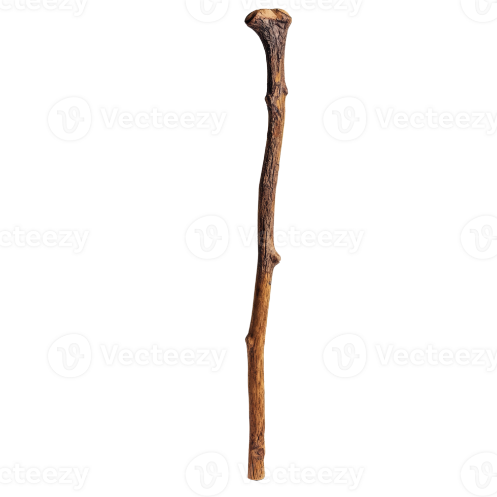 A Single Dried Wooden Branch Isolated On Black png