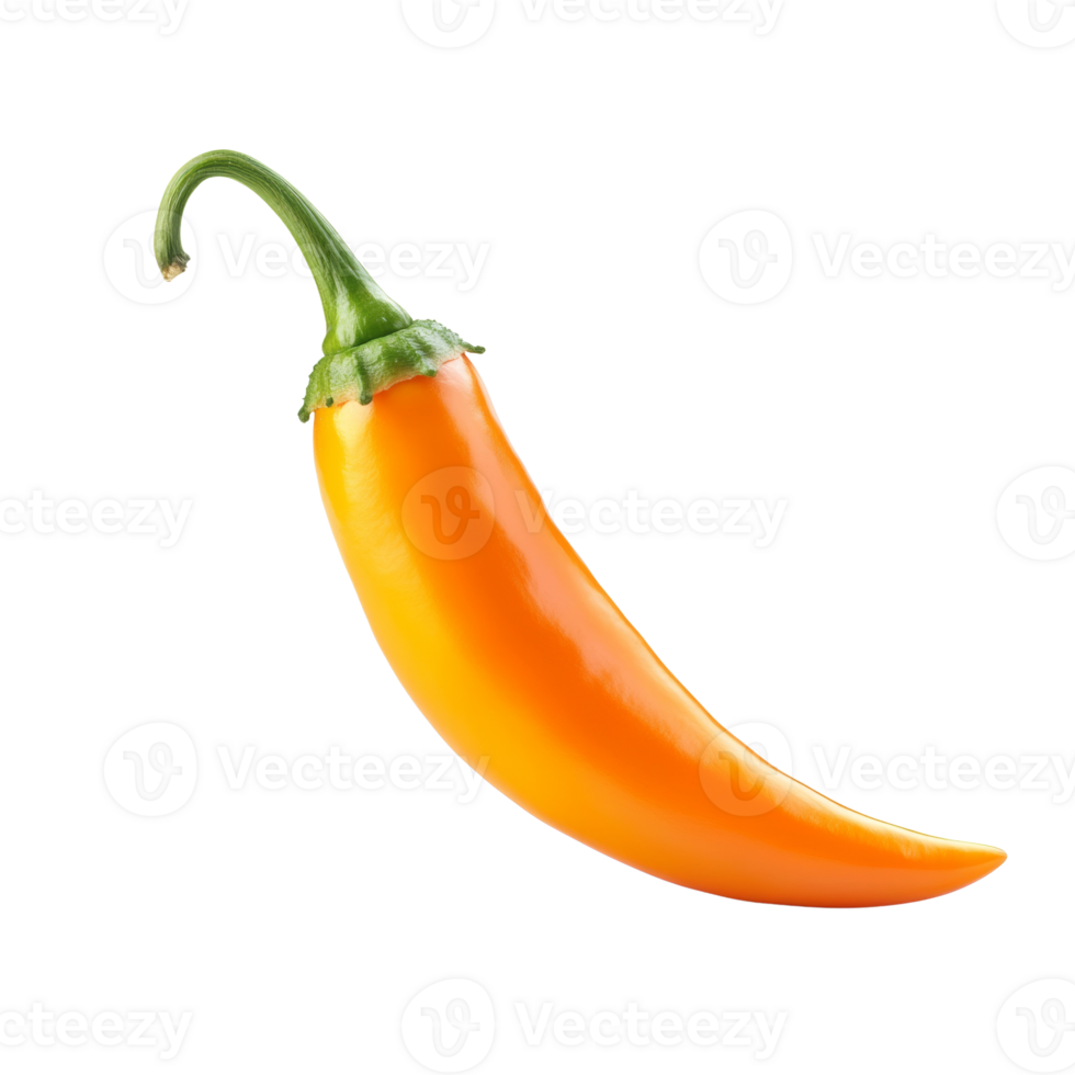 A single ripe orange chili pepper isolated on black png