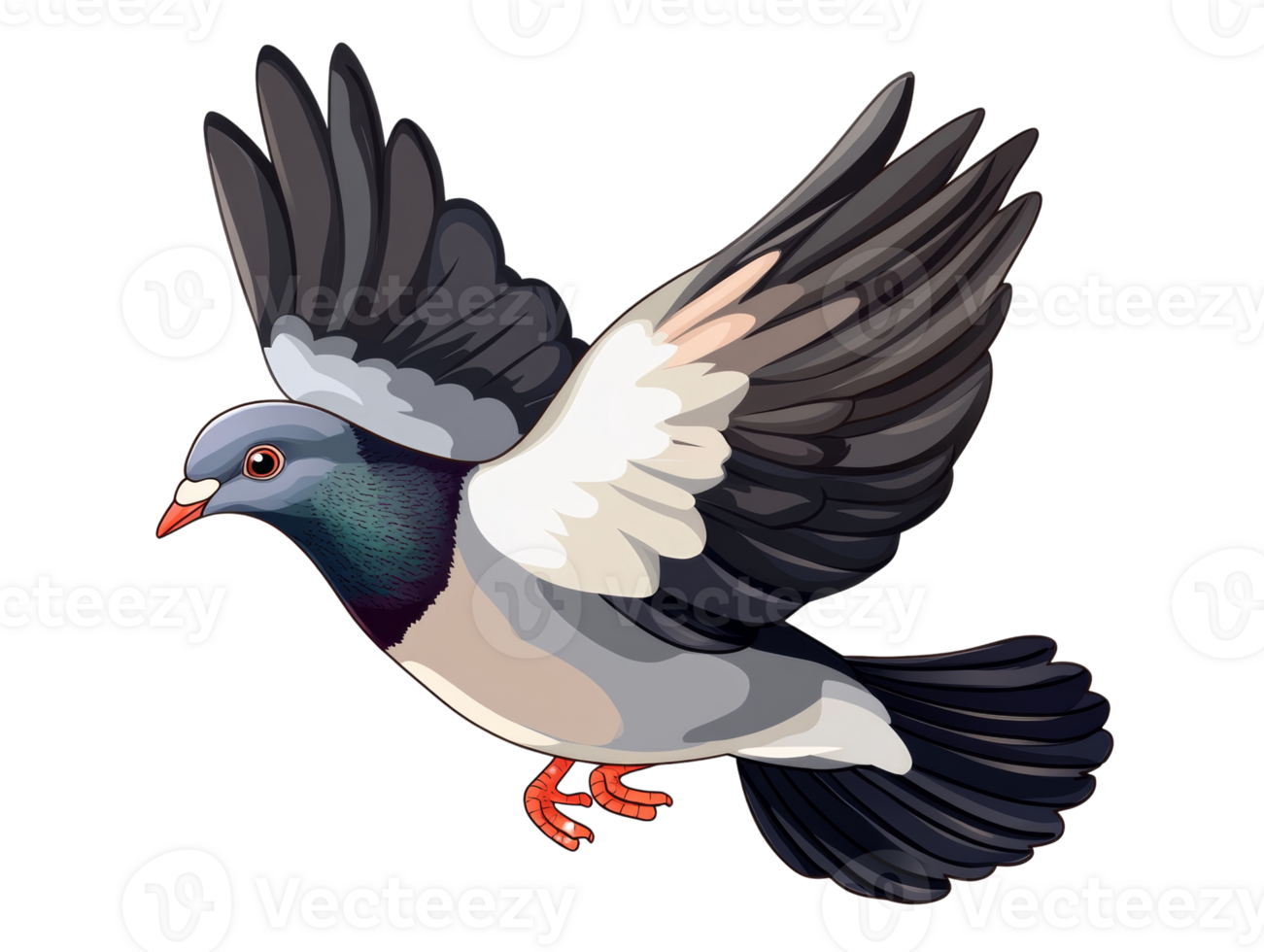 A Gray Pigeon in Flight Soaring Gracefully png