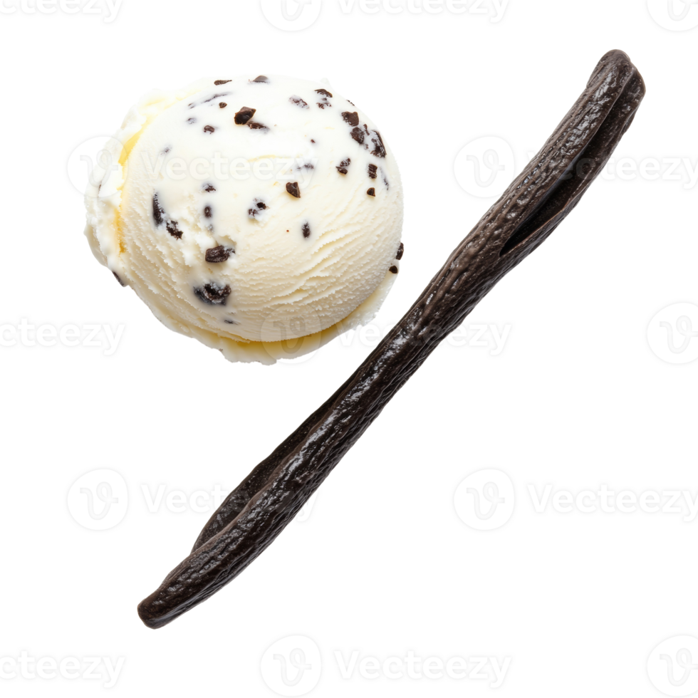 Vanilla Bean Ice Cream Scoop With Chocolate Chips png