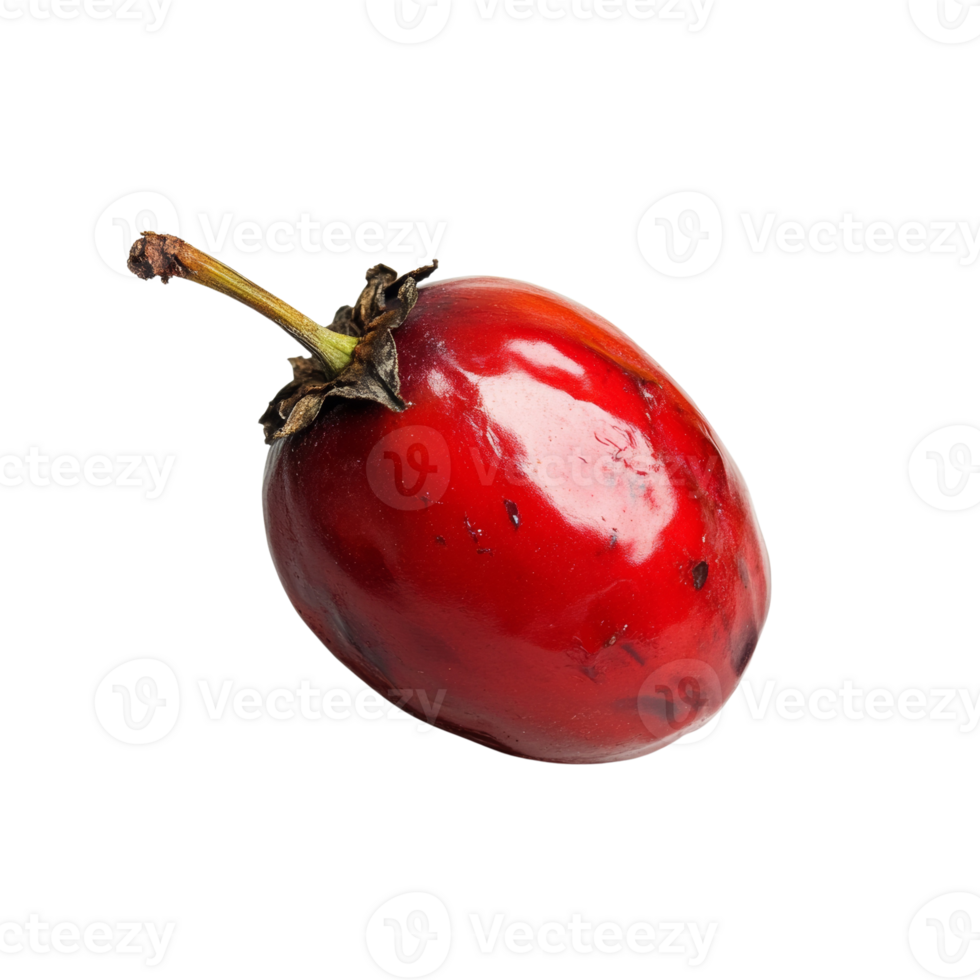 A single ripe red tamarillo fruit on black background png