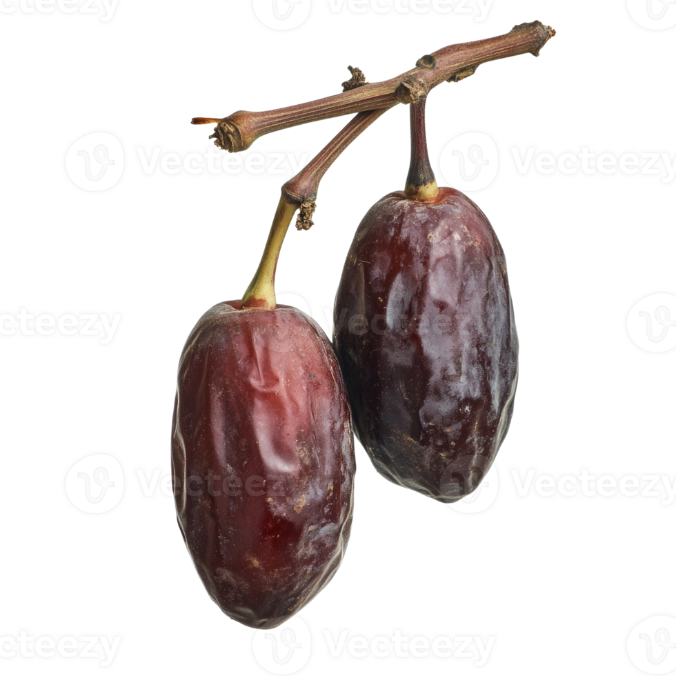 Two ripe dates on a branch against a black background png