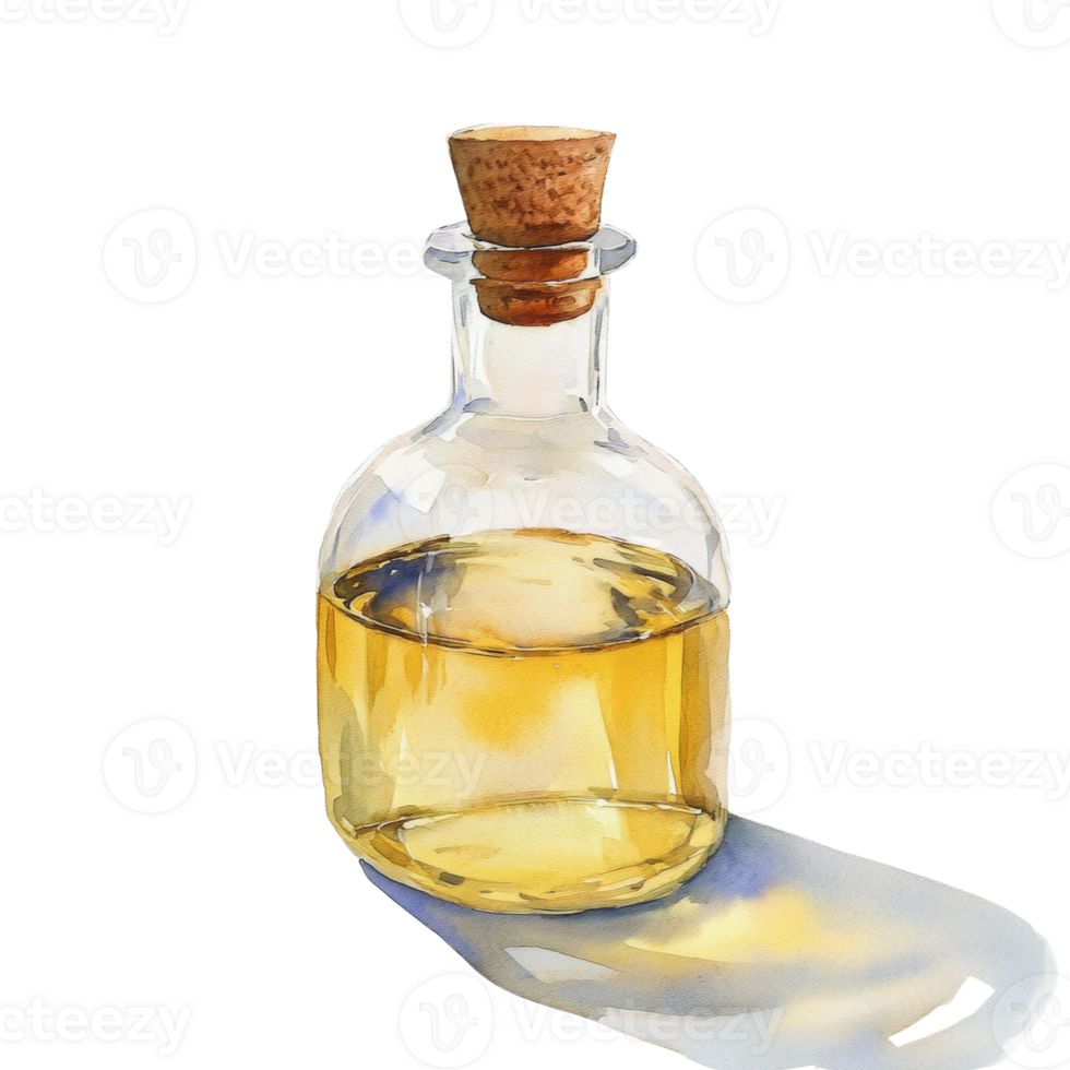 A Watercolor Painting of a Glass Bottle of Oil png