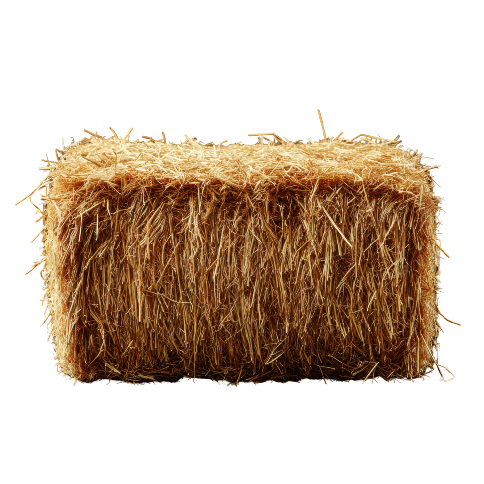 Bale of hay sitting on a farm field illustrates agriculture and rural life in a clear setting isolated on transparent background png