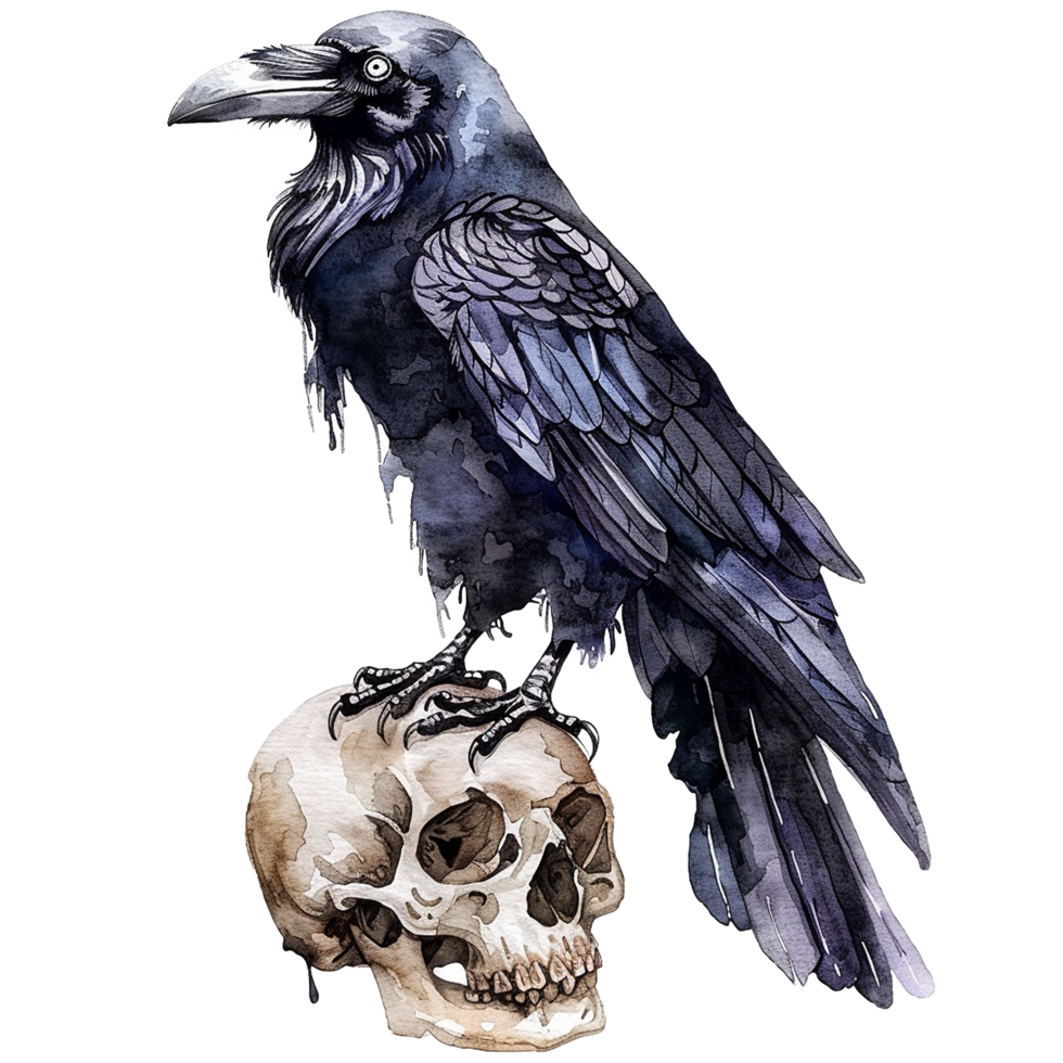 A Majestic Watercolor Raven Perched Upon a Human Skull A Dark and Gothic Masterpiece png